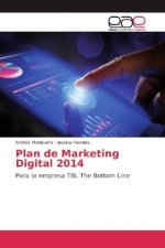 Plan de Marketing Digital 2014