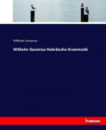 Wilhelm Gesenius Hebraische Grammatik