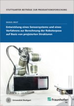 Entwicklung eines Sensorsystems und eines Verfahrens zur Berechnung der Roboterpose auf Basis von projizierten Strukturen.