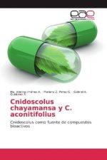 Cnidoscolus chayamansa y C. aconitifolius