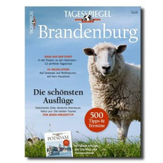 Tagesspiegel Brandenburg 2017/2018