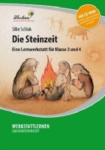 Die Steinzeit, m. 1 CD-ROM