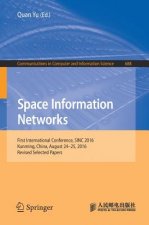 Space Information Networks