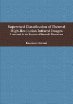 Supervised Classification of Thermal High-Resolution Infrared Images: A Case Study for the Diagnosis of Raynaud's Phenomenon