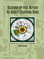 Seasons of the Witch: an Adult Coloring Book
