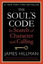 Soul's Code