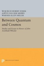 Between Quantum and Cosmos