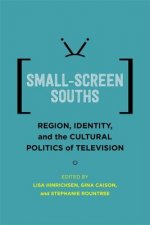 Small-Screen Souths