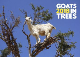Goats in Trees 2018