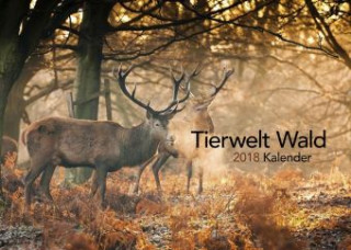 Tierwelt Wald Kalender 2018