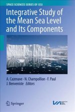 Integrative Study of the Mean Sea Level and Its Components