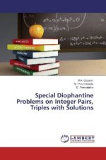 Special Diophantine Problems on Integer Pairs, Triples with Solutions