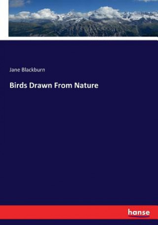 Birds Drawn From Nature