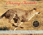 Chasing Cheetahs