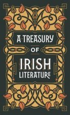 Treasury of Irish Literature (Barnes & Noble Omnibus Leatherbound Classics)