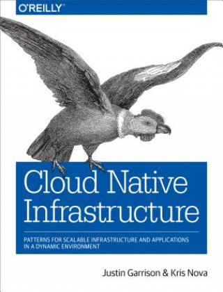 Cloud Native Infrastructure (Justin Garrison,Kris Nova)(Brožovaná)