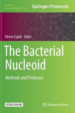 Bacterial Nucleoid