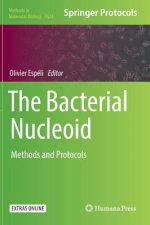 Bacterial Nucleoid