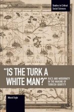 'is The Turk A White Man?'