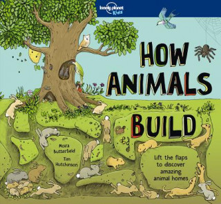 Lonely Planet Kids How Animals Build 1