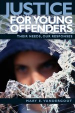 JUSTICE FOR YOUNG OFFENDERS