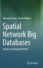 Spatial Network Big Databases
