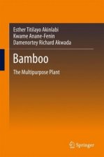 Bamboo