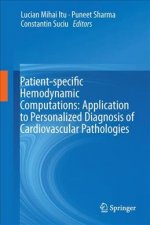 Patient-specific Hemodynamic Computations: Application to Personalized Diagnosis of Cardiovascular Pathologies