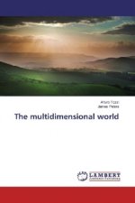 The multidimensional world