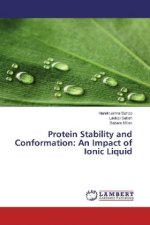 Protein Stability and Conformation: An Impact of Ionic Liquid