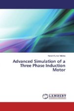 Advanced Simulation of a Three Phase Induction Motor