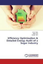 Efficiency Optimization & Detailed Energy Audit of a Sugar Industry