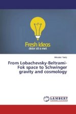 From Lobachevsky-Beltrami-Fok space to Schwinger gravity and cosmology