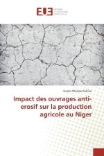 Impact des ouvrages anti-erosif sur la production agricole au Niger