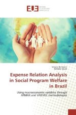 Expense Relation Analysis in Social Program Welfare in Brazil
