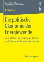 Die Politische OEkonomie Der Energiewende