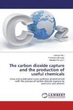 The carbon dioxide capture and the production of useful chemicals