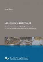 Lignocellulose-Bioraffinerie. Verarbeitungskonzepte hoher Feststoffkonzentrationen auf Basis der nachwachsenden Rohstoffe Holz und Grassilage