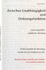 Zwischen Unabhängigkeit und Ordnungsfunktion, Spannungsfelder schulischer Beratung