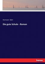 gute Schule - Roman
