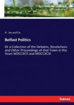 Belfast Politics