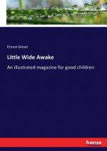 Little Wide Awake