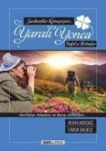 Yarali Yonca
