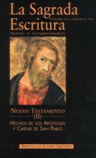 Nuevo Testamento : Hechos de los Apóstoles y cartas de San Pablo