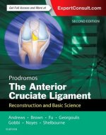 Anterior Cruciate Ligament