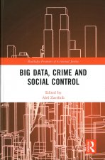 Big Data, Crime and Social Control