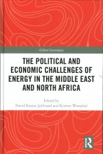 Political and Economic Challenges of Energy in the Middle East and North Africa