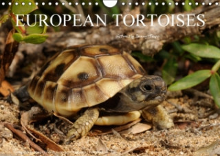 European Tortoises / UK-Version 2018