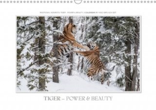 Emotional Moments: Tiger - Power & Beauty / UK-Version 2018