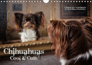 Chihuahuas - Cool & Cute / UK-Version 2018